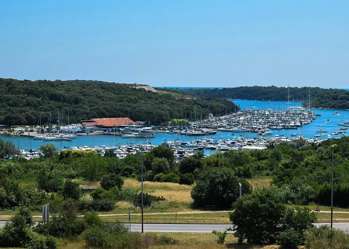 House Masha Appartement